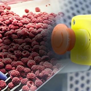 Monitoring and processing delicate fruit